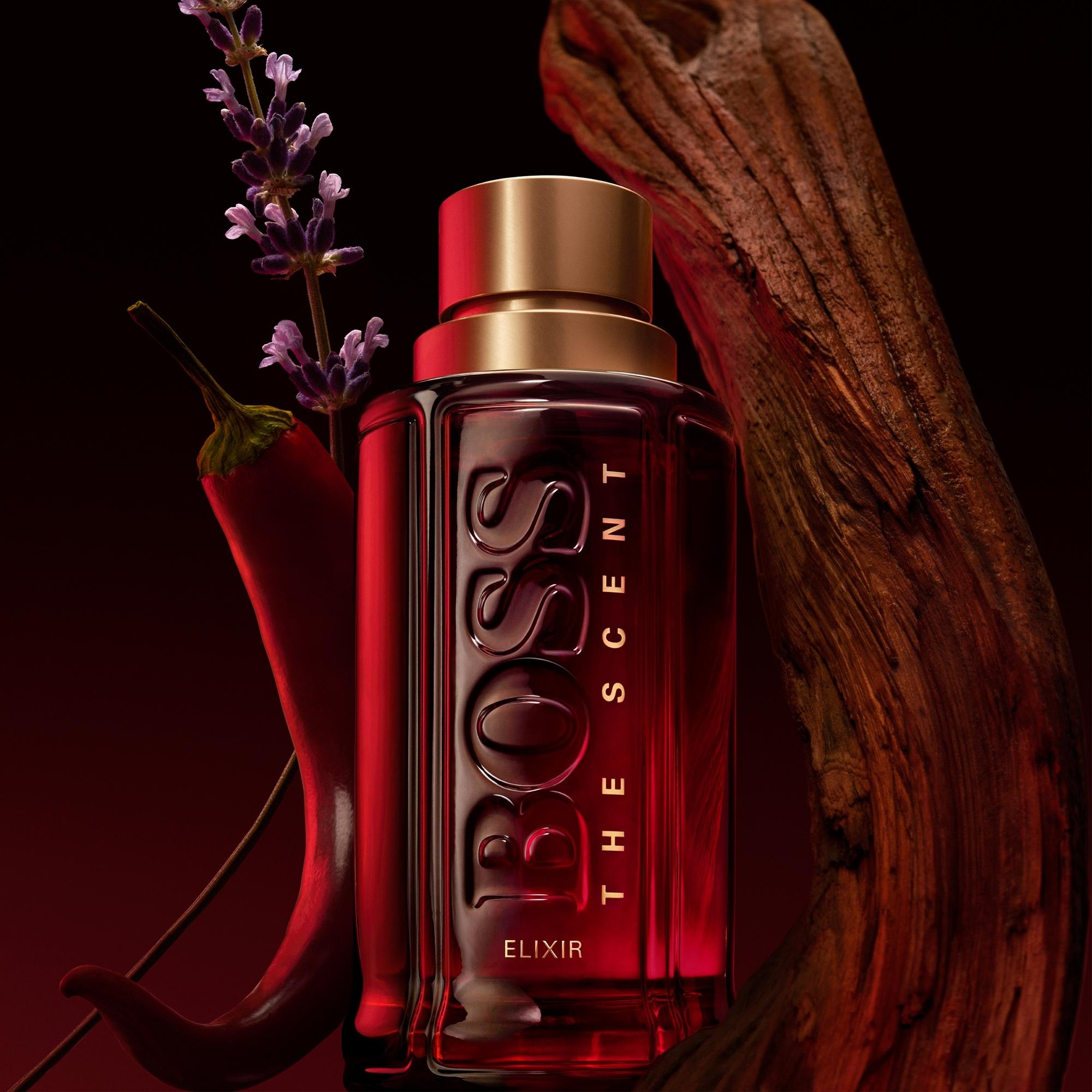 Hugo boss the scent intense for him 100ml discount
