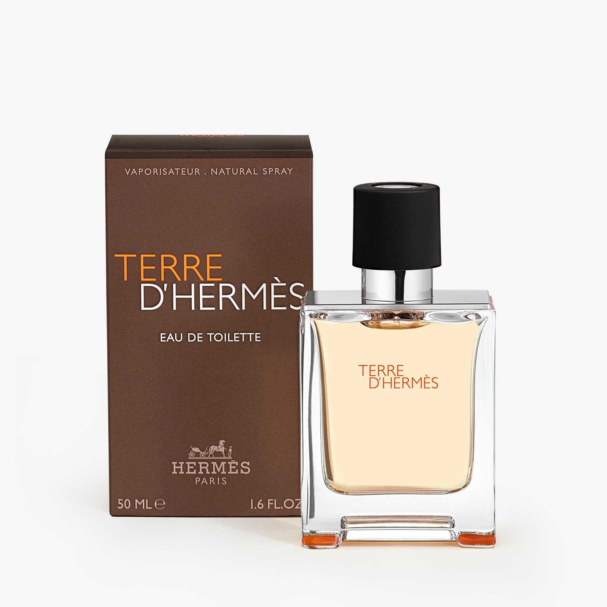 Hermes 2025 la terre
