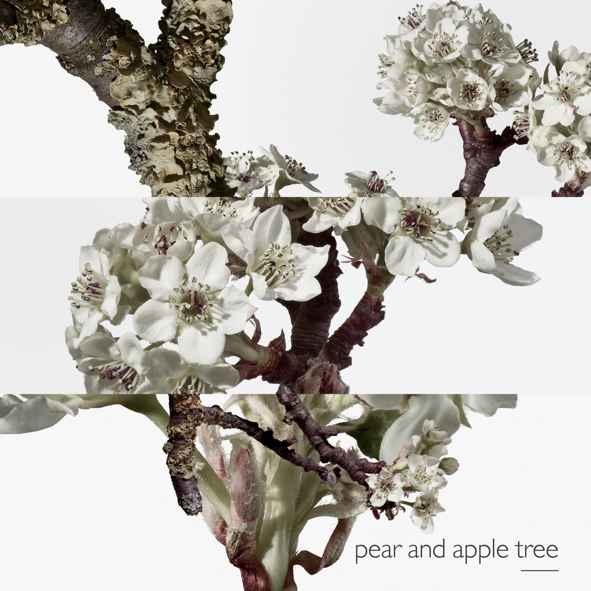 Hermes jardin outlet le toit