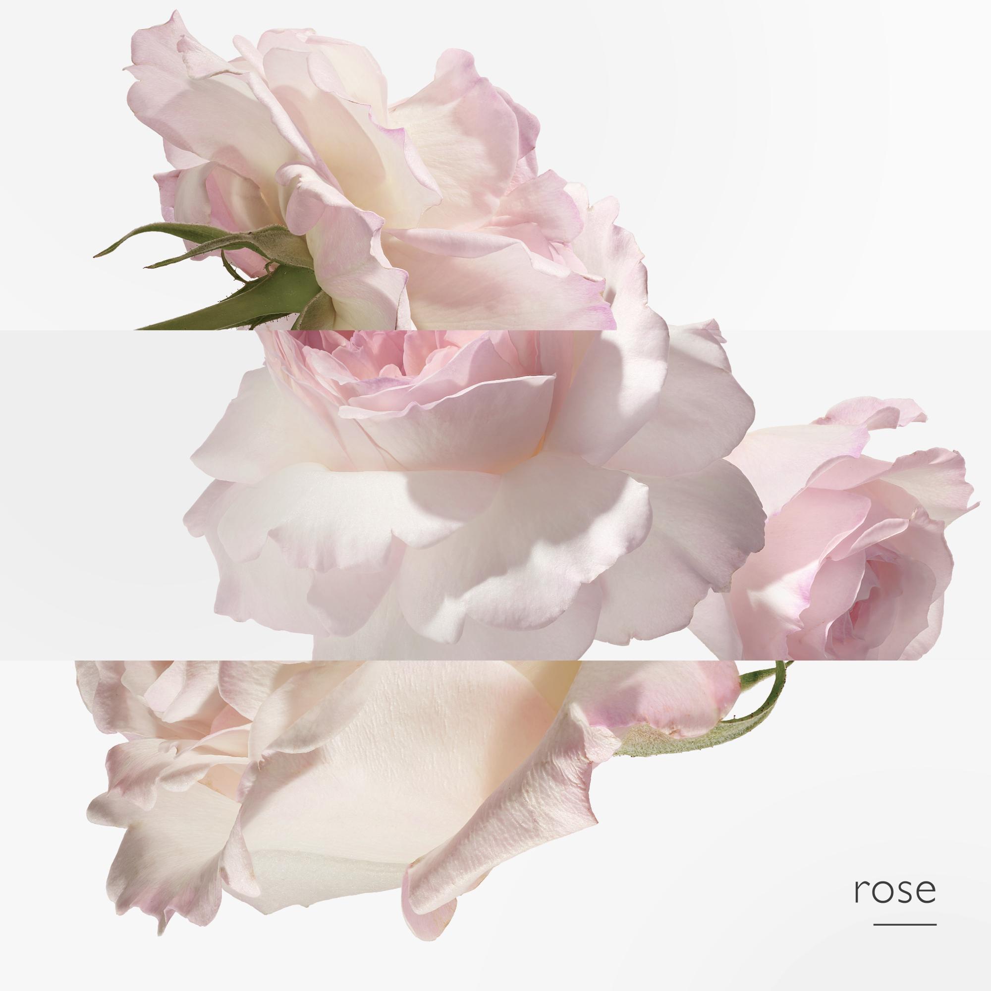 Hermes eau pamplemousse online rose