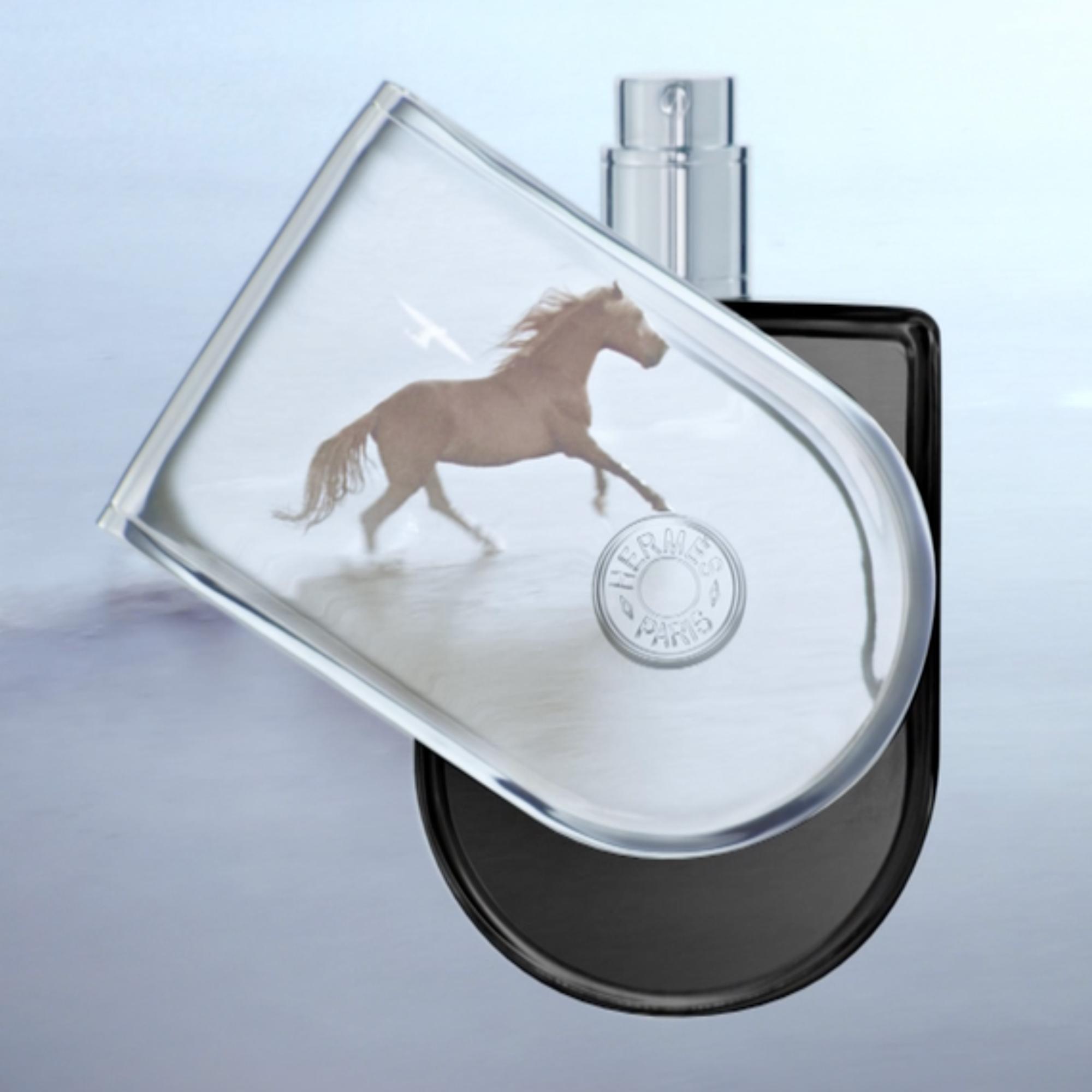 Hermes le voyage top