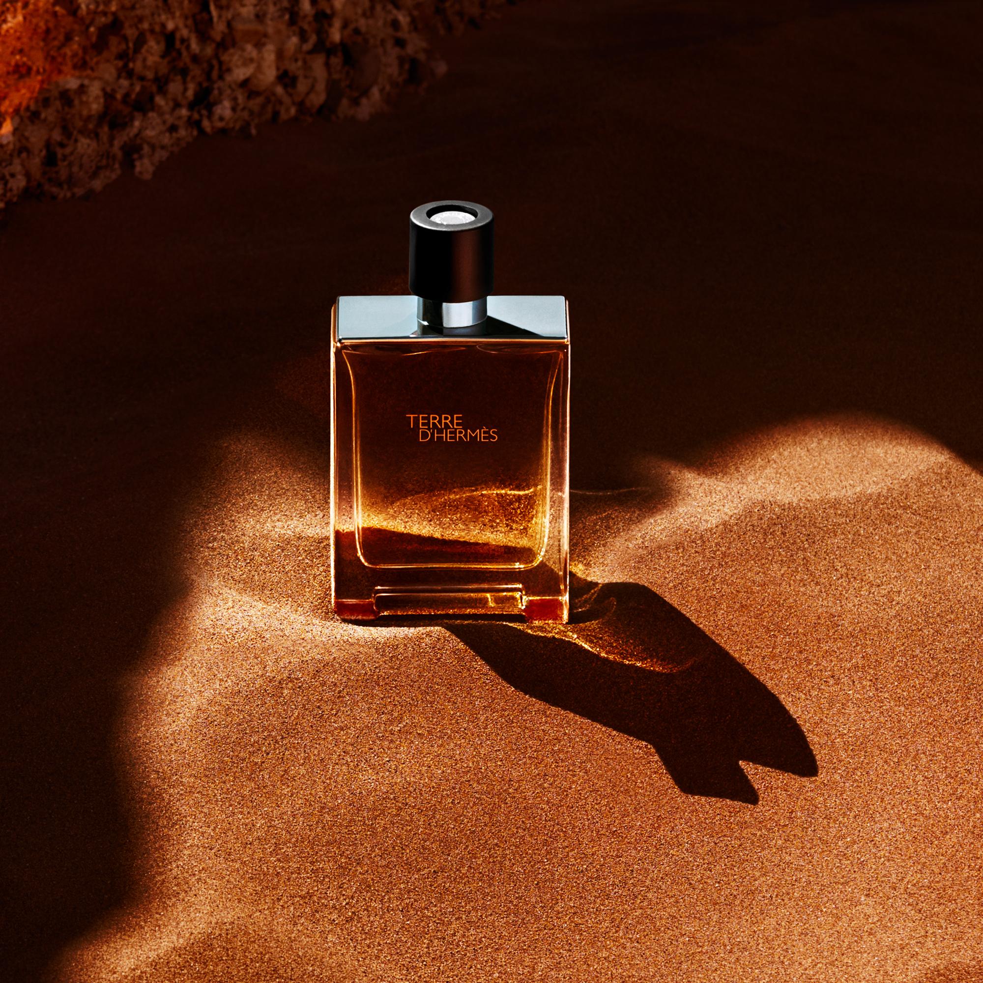 Hermes best sale terre hermes